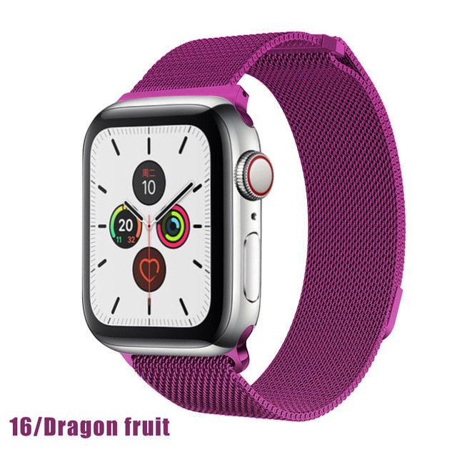 Stainless Steel Milanese Mesh Apple Watch Band